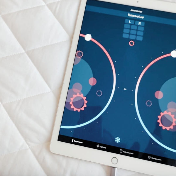 Version 2 Conversion kit (convert your V1 to V2)